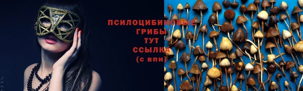 шишки Елабуга