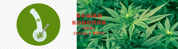 ПСИЛОЦИБИНОВЫЕ ГРИБЫ Алзамай